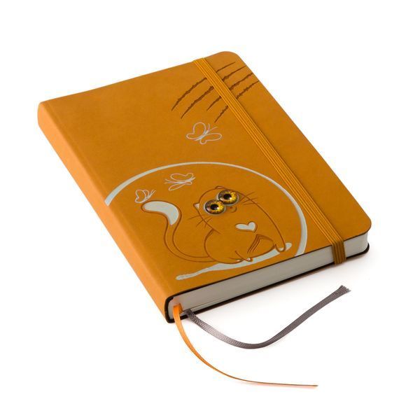 Блокнот-ежедневник Cat book, brown cat book-3 фото