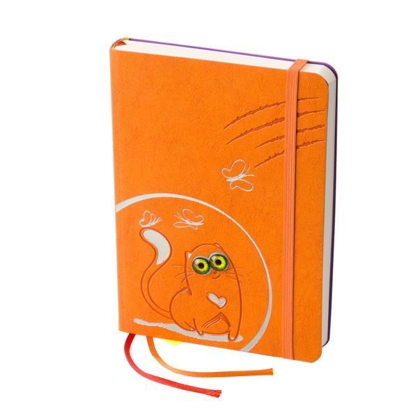 Блокнот-ежедневник Cat book, orange cat book-5 фото