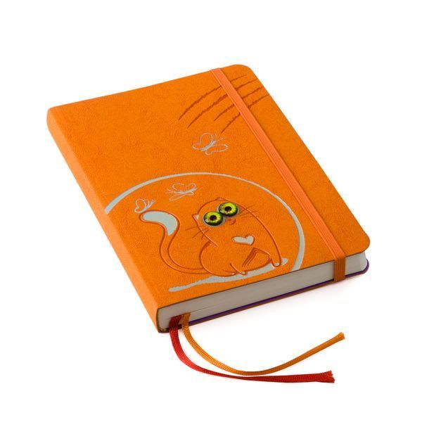 Блокнот-ежедневник Cat book, orange cat book-5 фото