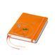 Блокнот-ежедневник Cat book, orange cat book-5 фото 6