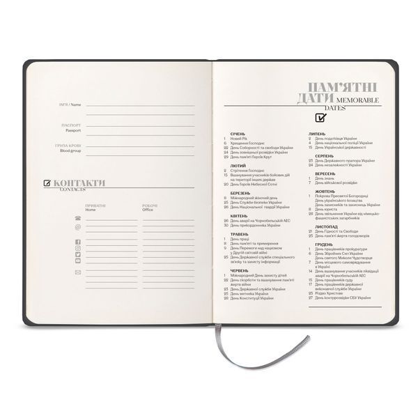 Блокнот-Ежедневник Lusi Bordo А5, Стандарт (Бордовый/Серебро) &mdash; Зеленое поле Elit-5-Lb-2 фото